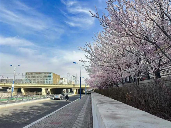 1744950239841094901.jpg 图片2.jpg