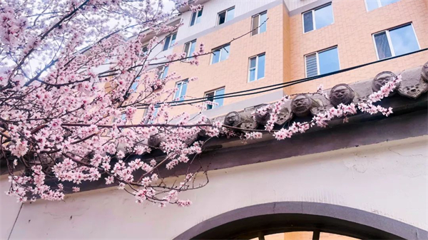 1744950277641030978.jpg 图片3.jpg