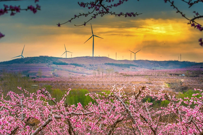 1744167631610088614.jpg 08-QD_副本.jpg