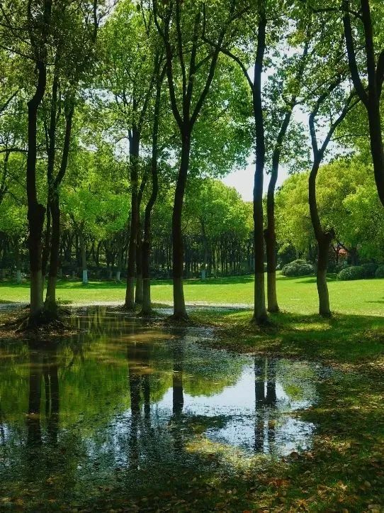 1745310719237062100.jpg DM_20250422112113_002.jpg