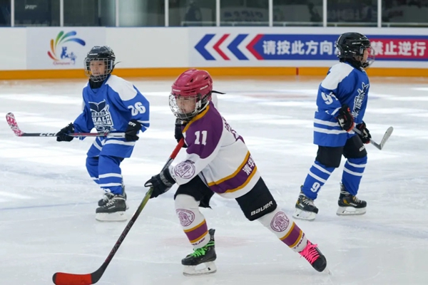 1744709380622081092.jpg 3.jpg