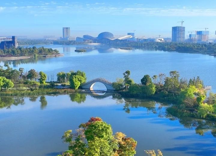 1747103629700078300.jpg nantong xu congjun.jpg