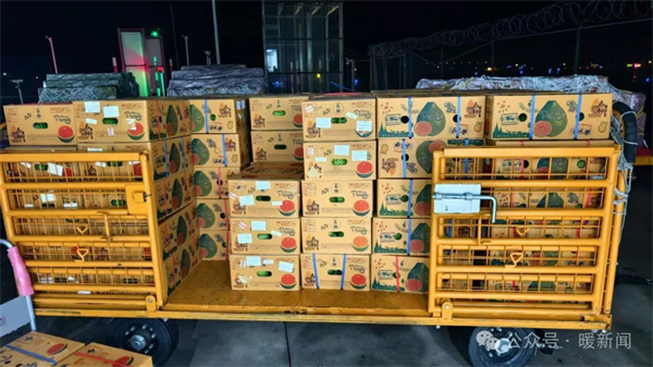 1748942393075092873.jpg 图片63.jpg