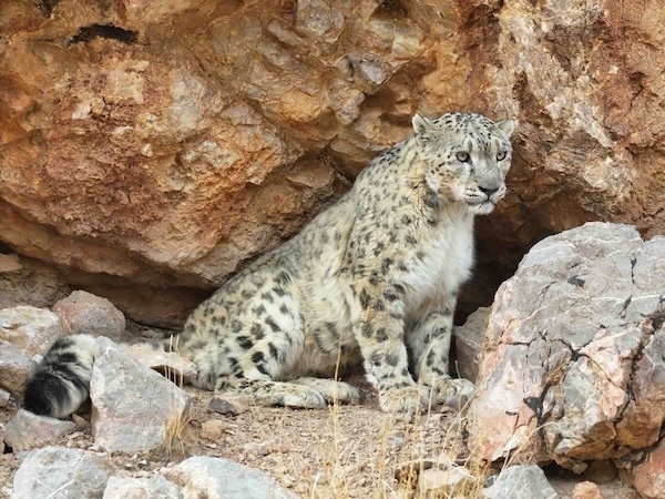 1747905072454048795.jpeg 1745488428801027910.jpeg