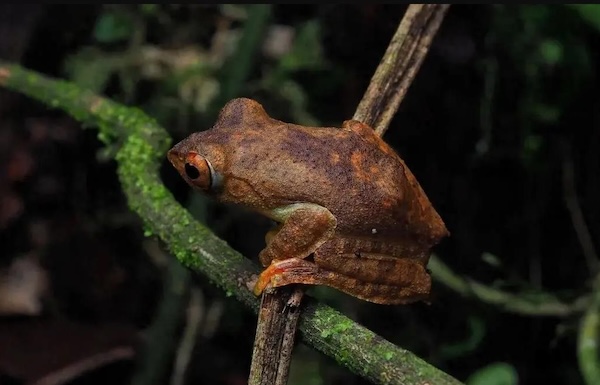 1748419953314044181.jpeg 68365ac8a310a04a96793f98.jpeg