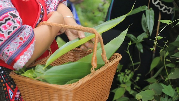 1748572387748000679.jpeg 1 - 副本.jpeg