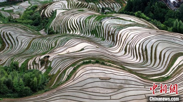 1750226119230077904.jpg 93df0f09-ded5-4308-b29b-0be34d619e5d_zsite.jpg