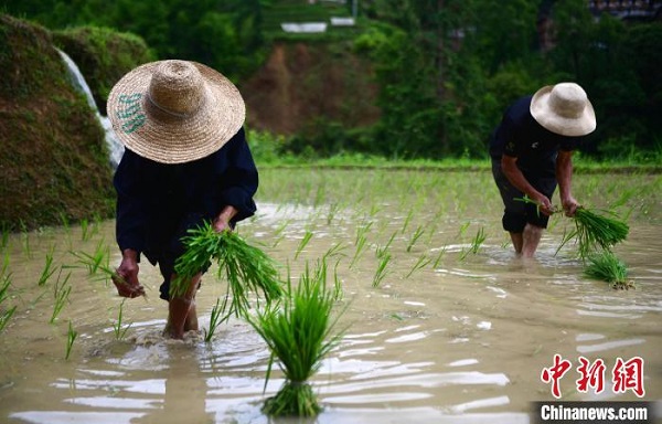 1750226136752042451.jpg 7f30938d-a4a1-42a1-aa33-23347dc4d4e8_zsite.jpg