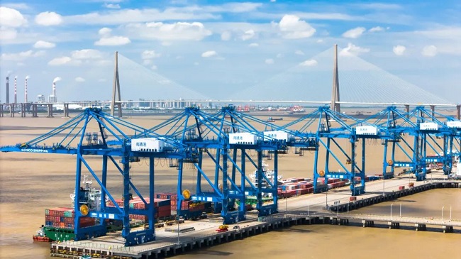 1750750968182025701.jpg 640.jpg