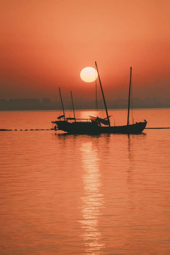 1751521591495083303.jpg 640.jpg