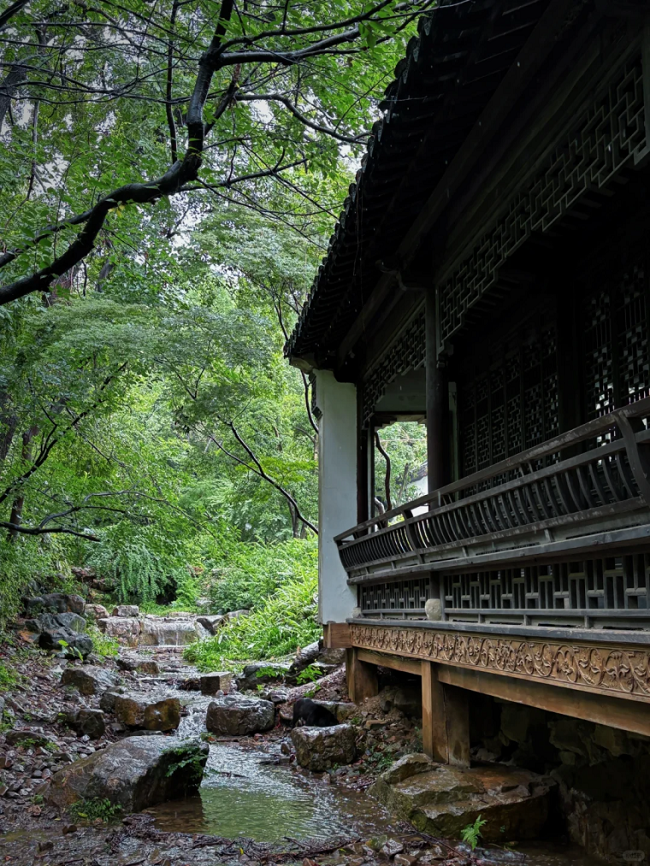 1751521602273086495.png 640.png