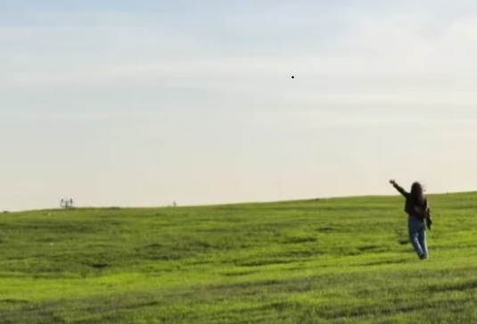 1751349765620076472.png 2.png