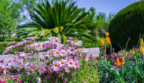 1749720821899079777.jpg 640_wx_fmt=png&from=appmsg&tp=webp&wxfrom=5&wx_lazy=1.webp (3).jpg