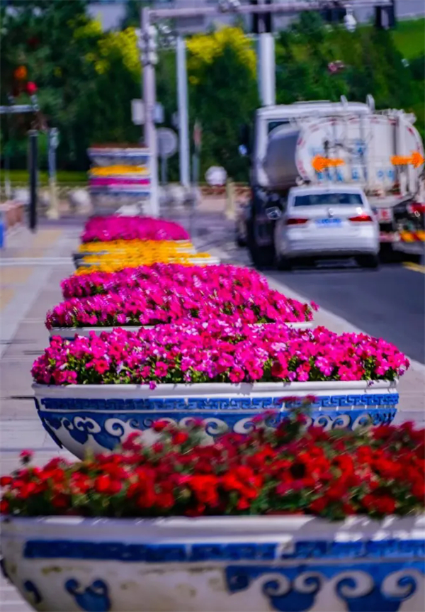 1749720882140026806.jpg 640_wx_fmt=png&from=appmsg&tp=webp&wxfrom=5&wx_lazy=1.webp (1).jpg