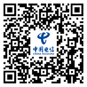 1750300946171018635.jpg 5_副本.jpg