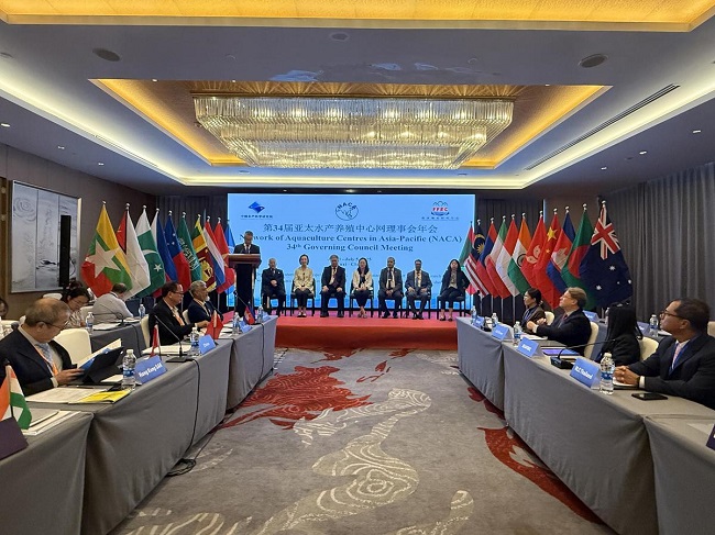 1751867048276054181.jpeg 686a7c08a31000e98c7d43d9.jpeg