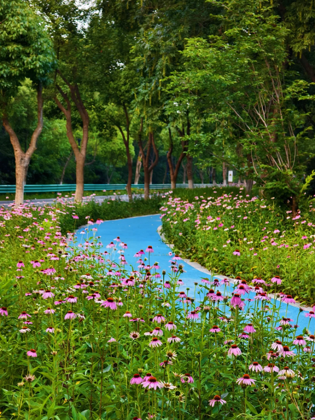 1752030075732071096.png 640.png