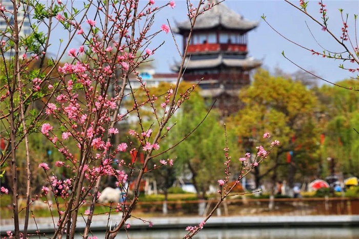 1751867535386077355.jpg 640 (2).jpg