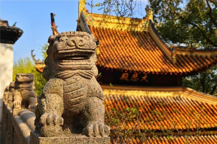 1751867546290012939.jpg 640 (1).jpg