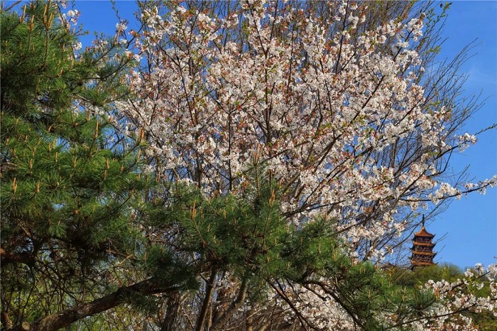 1751867557233001861.jpg 640.jpg