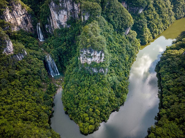 1751617826346076360.jpeg 1.jpeg