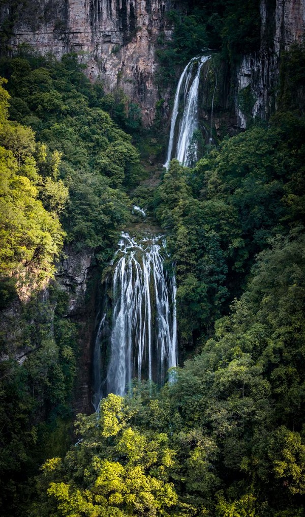 1751617869697086634.jpeg 4.jpeg