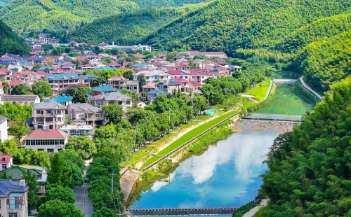 1750389997373045835.jpg Huzhou Trees.jpg