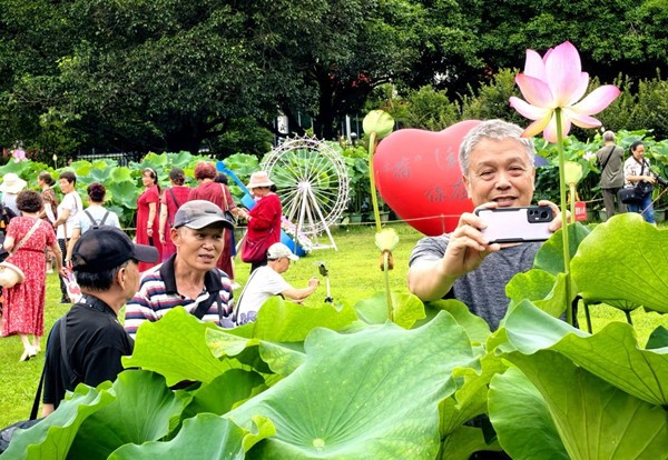 1750729165444002824.jpg 12.jpg