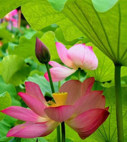 1750729171908032343.jpg 13.jpg