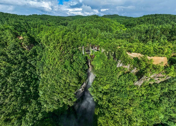 1753176023690027100.jpeg 1.jpeg