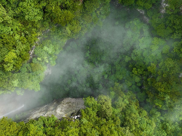 1753176035365060357.jpeg 2.jpeg