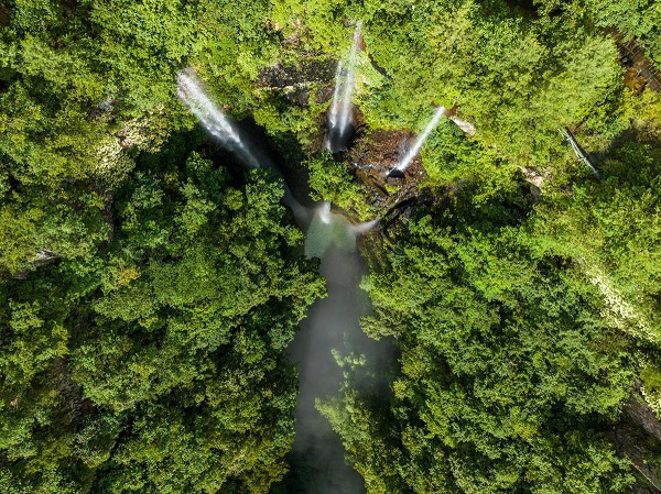 1753176051461011496.jpeg 3.jpeg