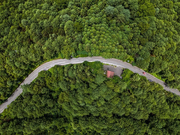 1753176059485011583.jpeg 4.jpeg