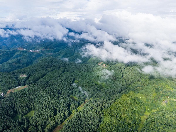 1753176066474025817.jpeg 5.jpeg