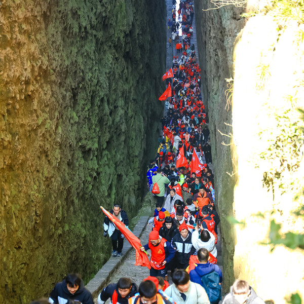 1735807146812076387.jpg 2-1_副本.jpg