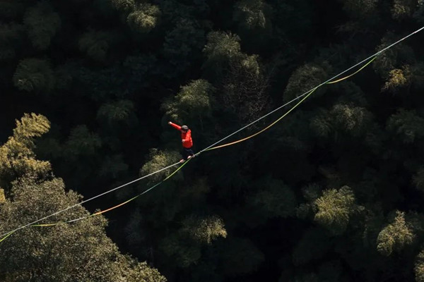 1735807173390001991.jpg 2-2_副本.jpg