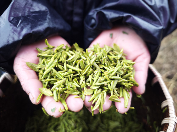 1741257294529045275.jpg 3-3_副本.jpg