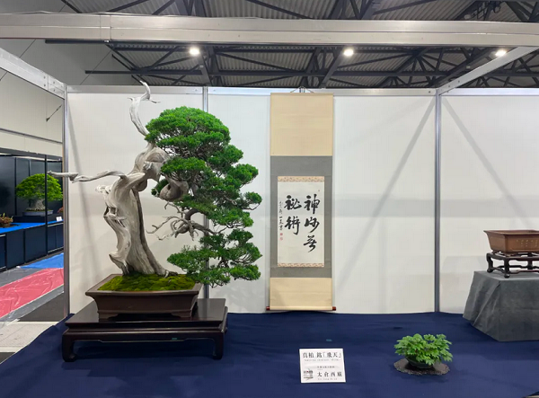 1747911088494045339.png 图片5.png