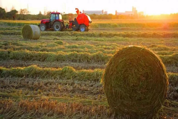 1740557510719055088.png 图片7.png