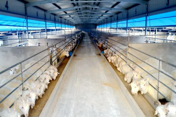 1740557525037000930.png 图片8.png