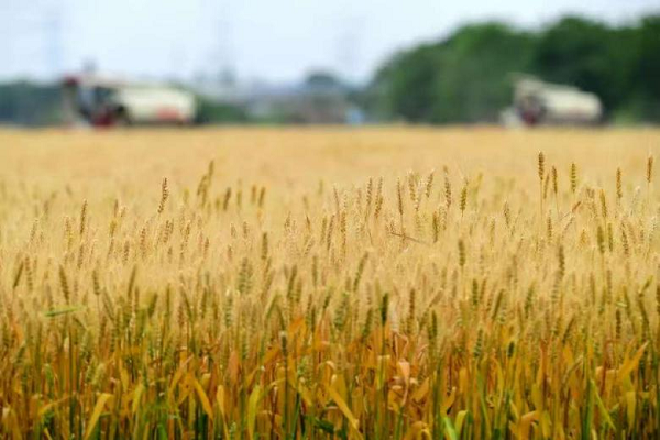 1740557539053074809.png 图片9.png