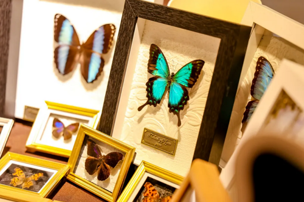 1739515263739068193.png 图片3.png