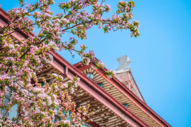 1743667523854061379.jpg 2222.jpg