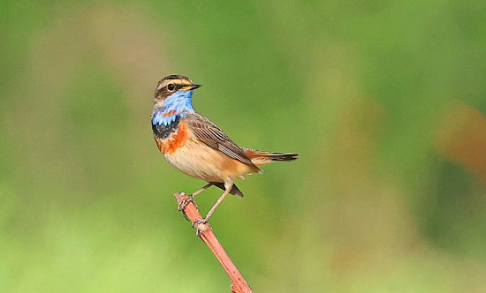 1745909161669004308.png 图片3.png