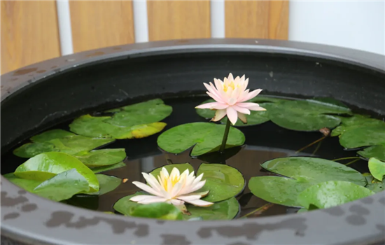 1749447065317050937.png 图片4_副本.png