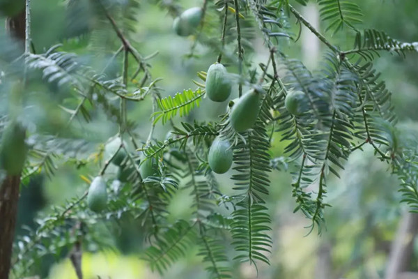 1752653574921045311.png 图片2.png