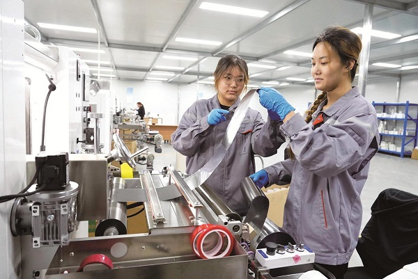 1754037158205064680.png catch_688acf36b0249.png