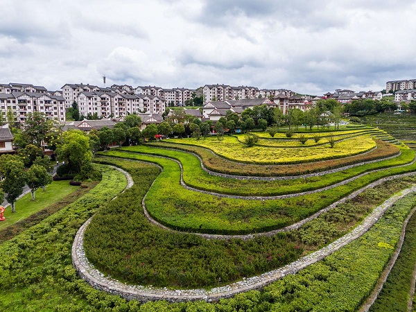 1754012971569066235.jpeg 1 - 副本.jpeg