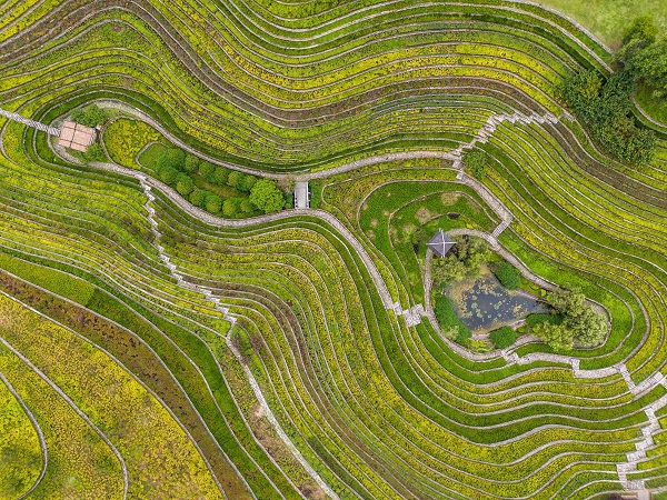 1754012980961047125.jpeg 2 - 副本.jpeg