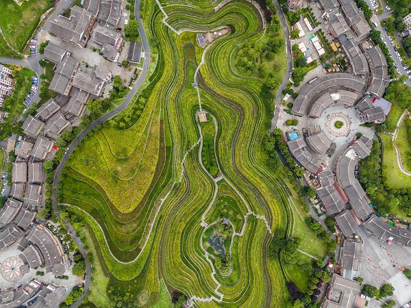 1754012988340007429.jpeg 3 - 副本.jpeg